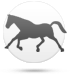Koń